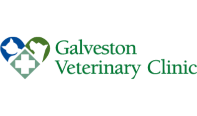 Galveston Veterinary Clinic-HeaderLogo